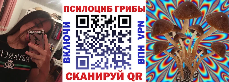 Псилоцибиновые грибы MAGIC MUSHROOMS  shop наркотические препараты  Изобильный 
